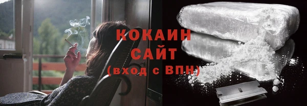 сатива Новосибирск