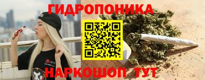 гидра Аргун