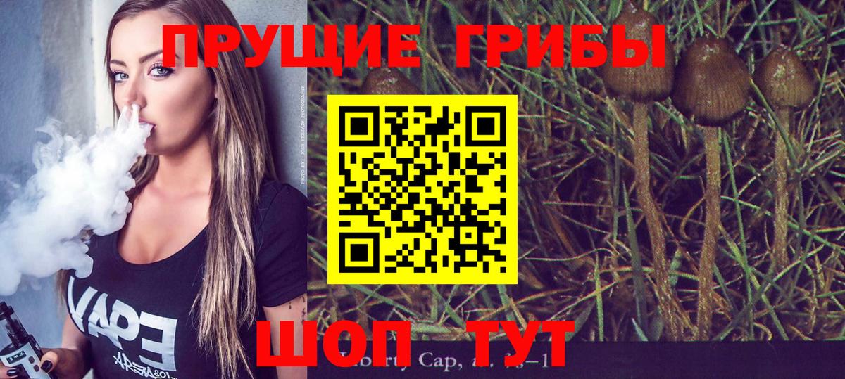 Псилоцибиновые грибы Psilocybe  Вход с VPN  Белорецк 